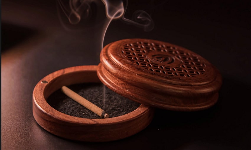 Cách muỗi tìm kiếm con mồi và phản ứng với mùi hương